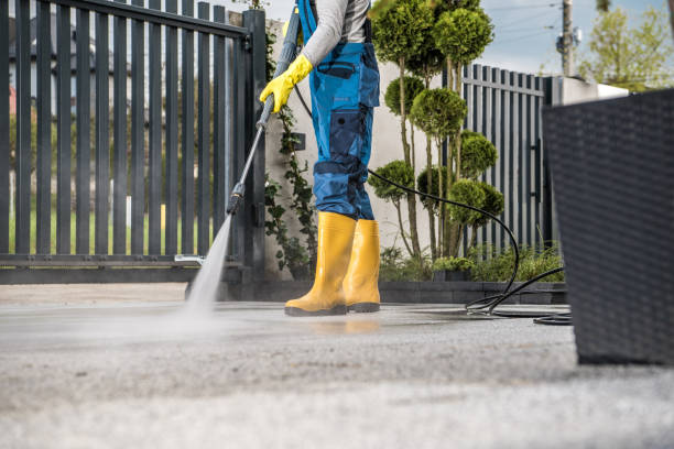 Best Roof Washing  in Selma, NC